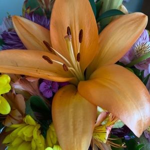 Meet your Posher, Debra